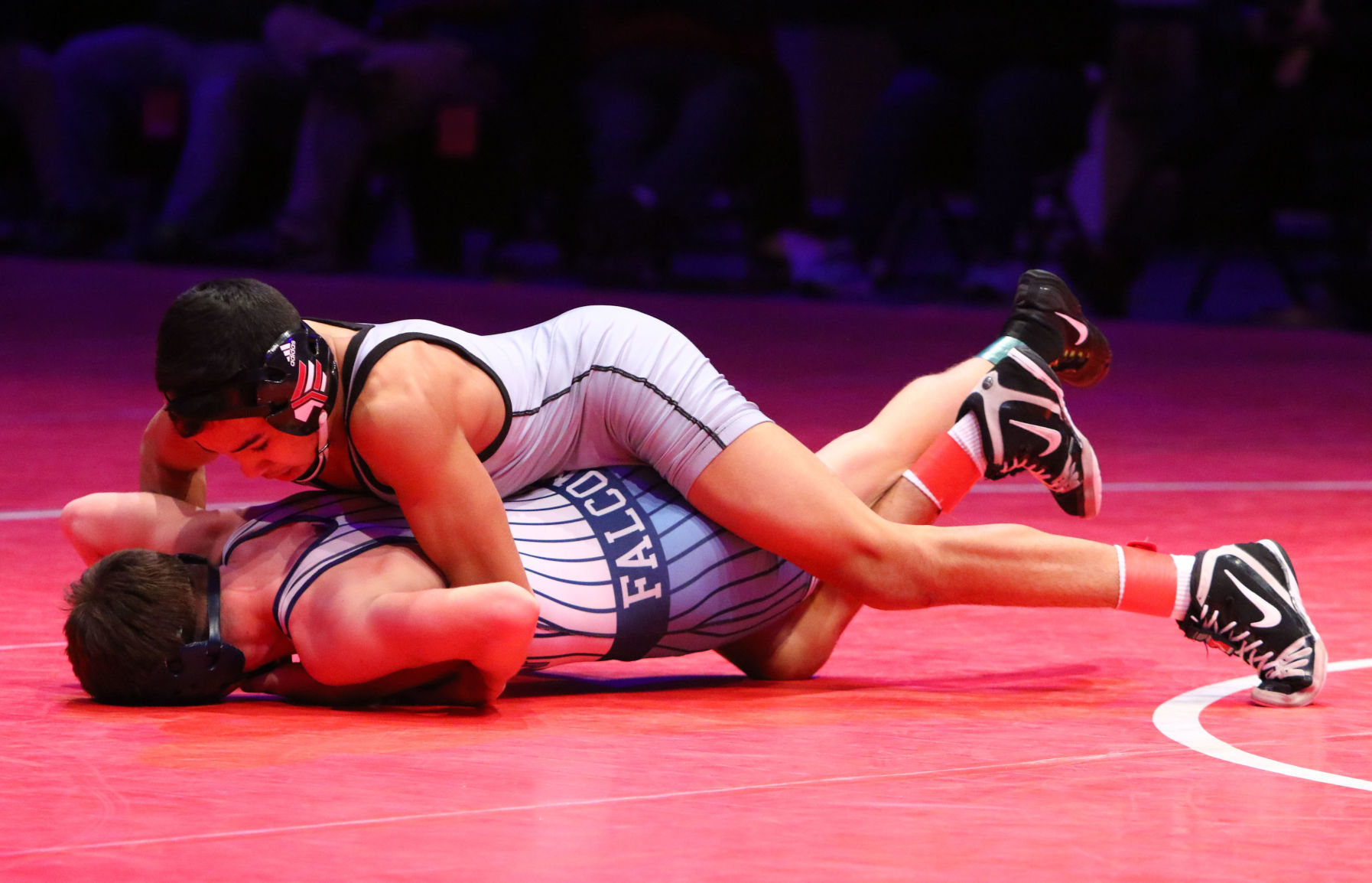Gallery: Wrestling State Finals